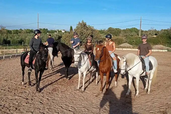 Horse riding session