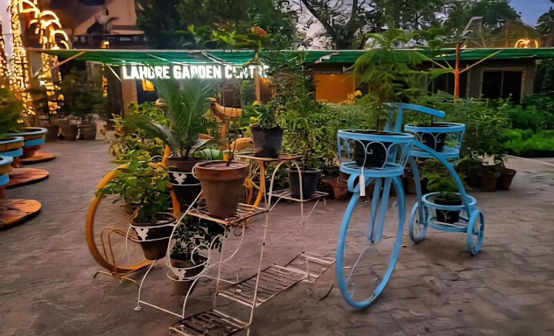 Garden center plants