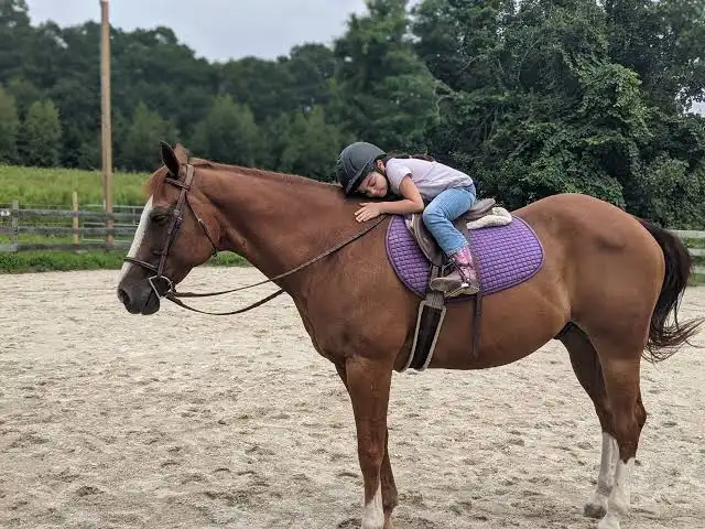 Bonding with horses